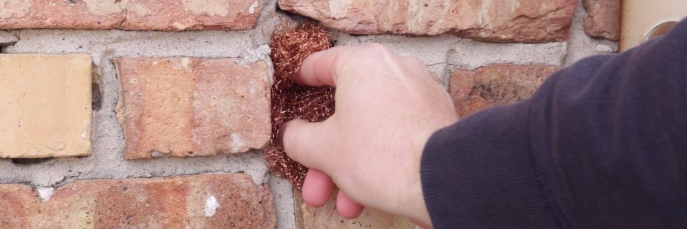 Copper Mesh in Wall