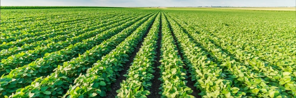 Crop Field spraying with Stealth Herbicide