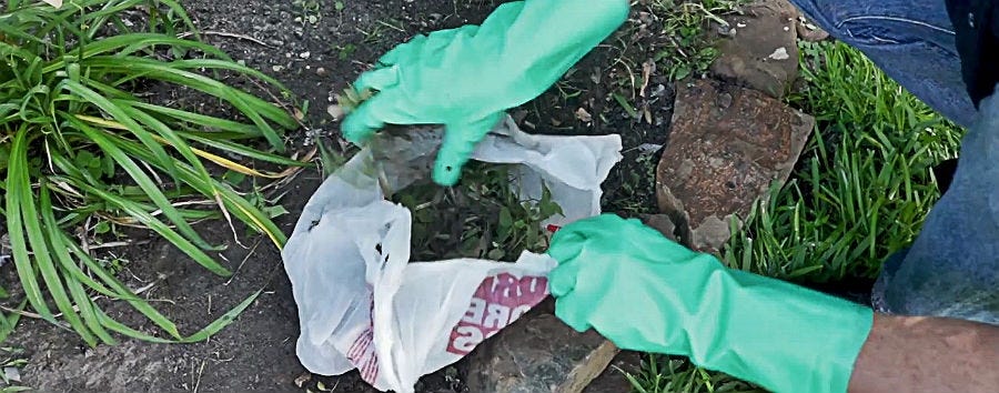 Picking up Landscape Debris 