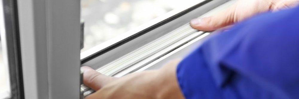 earwig control prevention