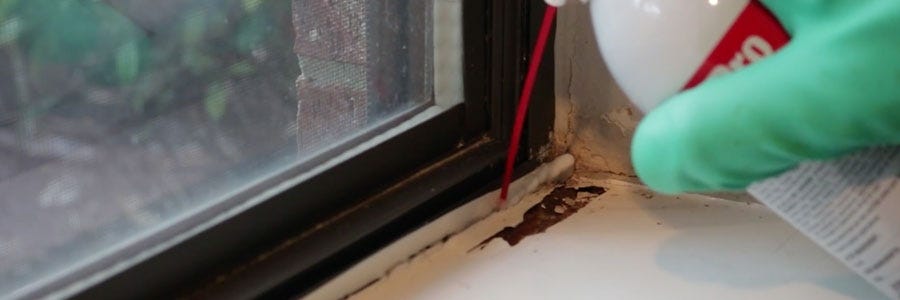 fipro inside the home