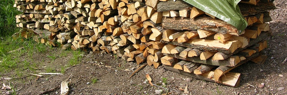 Firewood on Soil