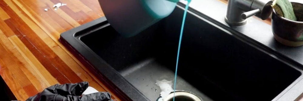 drain flies prevention