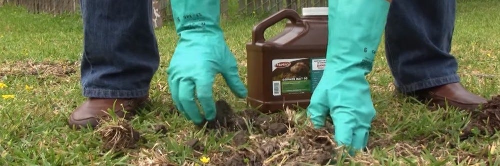 Gopher Bait Strychnine