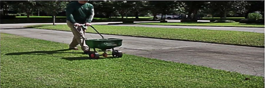 Apply fertilizer to lawn
