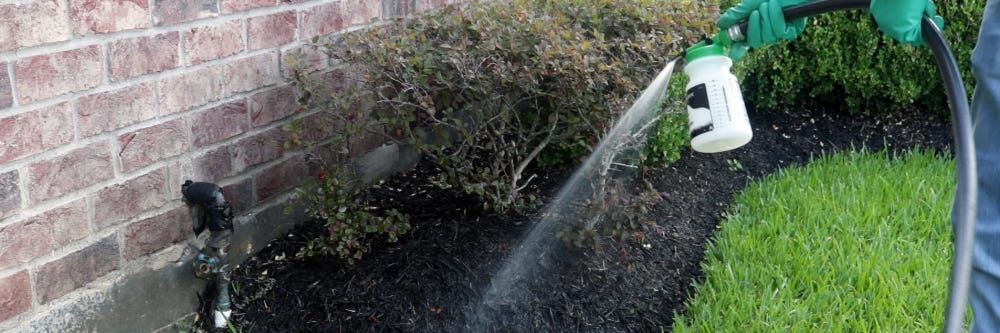 Treating Soil Around Bushes