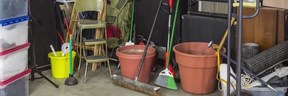 silverfish control inspection basement