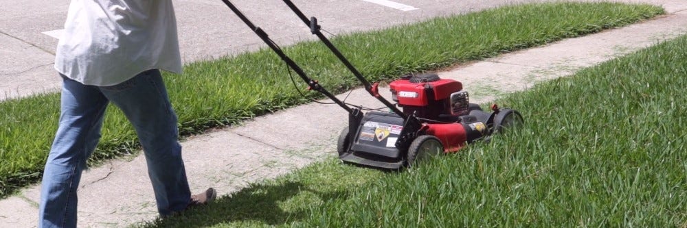 Mowing grass to prevent Smut