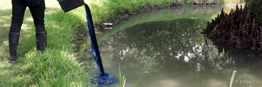 Use Vision Pond Dye Vision pond dye being poured into pond