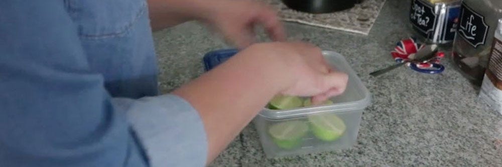 preparation fruit flies