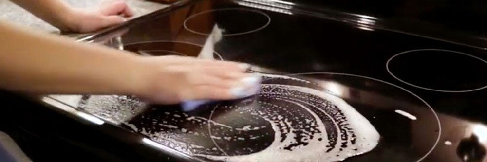 prevention blow flies