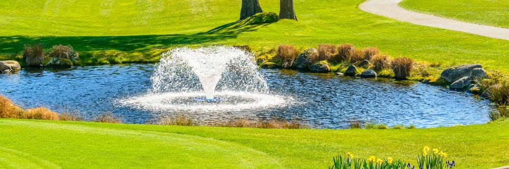 prevention geese goose golf courses