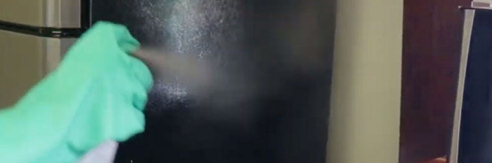 Spraying Pyrid Aerosol for Boxelder Bugs