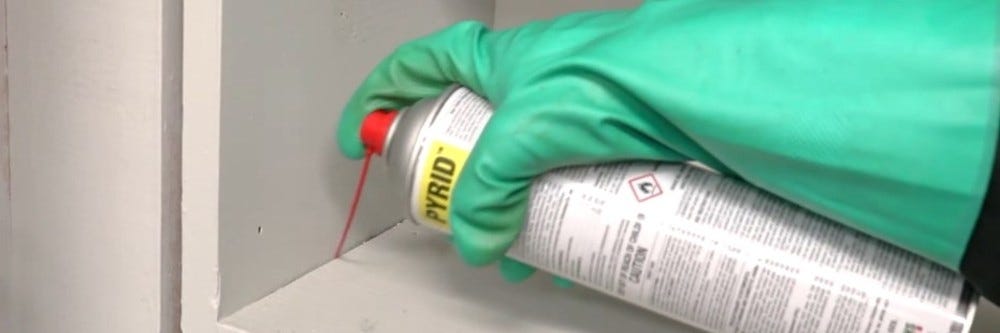 Pyrid Aerosol Pantry Application Pyrid application in pantry crack