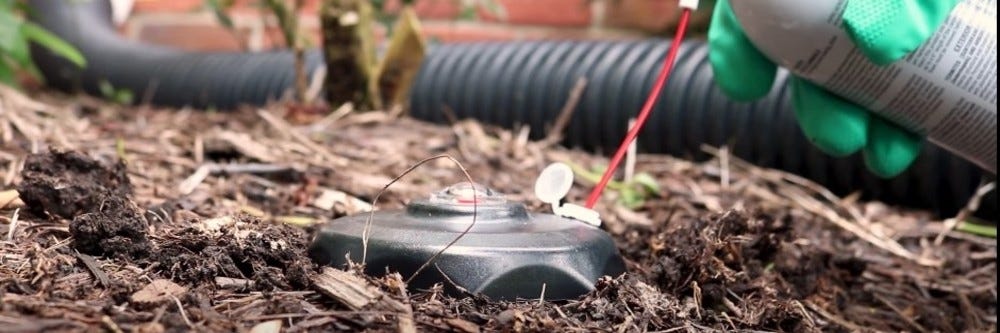 Installing Red Eye Termite Stations
