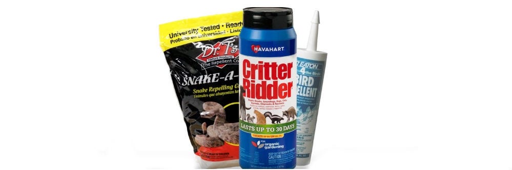 repellents recommended