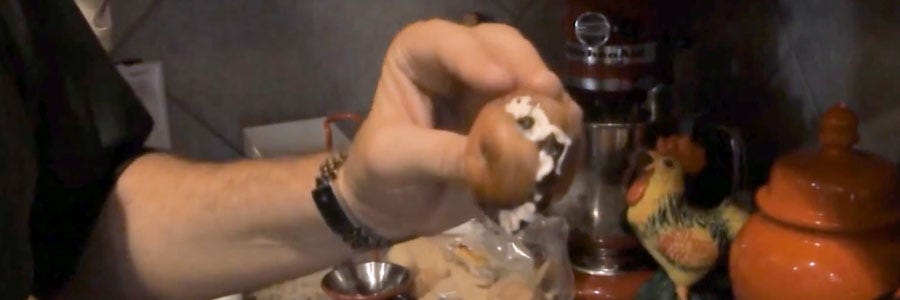 rotten potato solutions pest and lawn