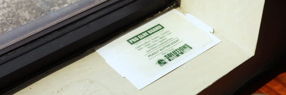 Solutions Pro Glue Board
