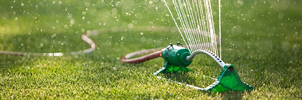 watering lawn