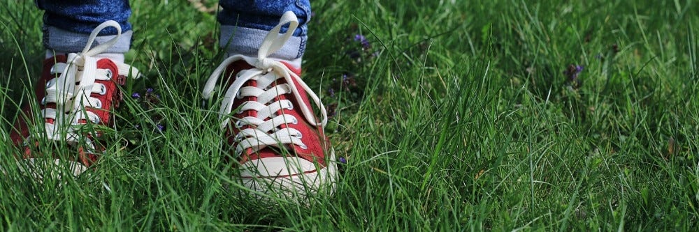 Inspecting the Grass