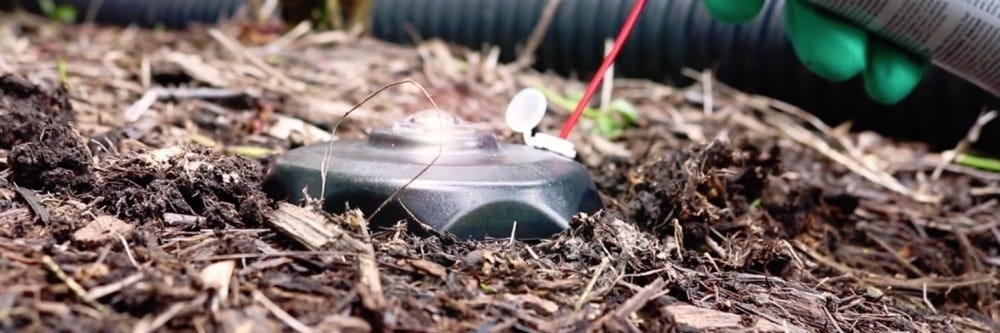 termite bait stations