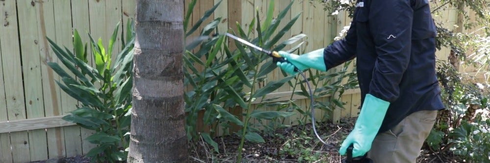 Spraying bugs to deter birds
