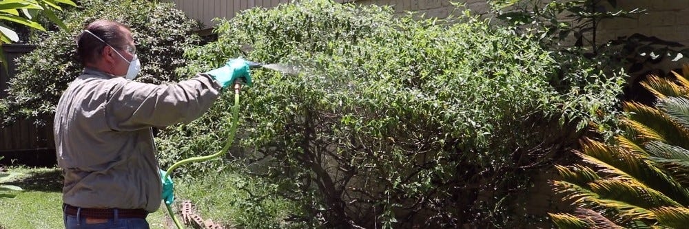 Spraying Trees