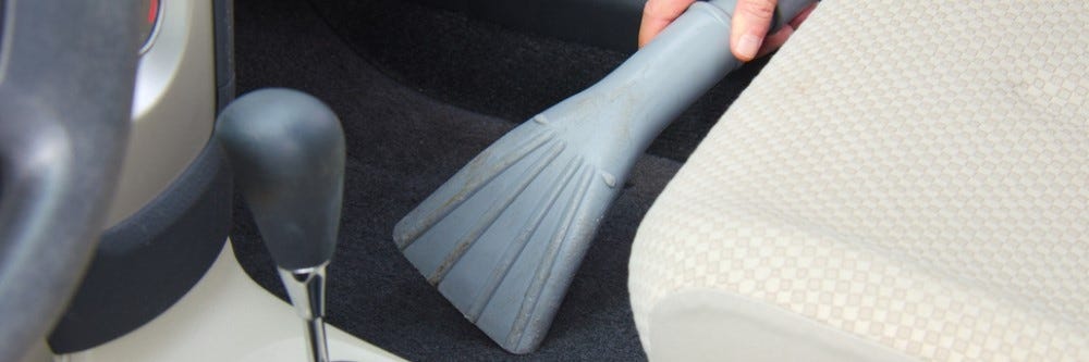 Clean your car to deter pests