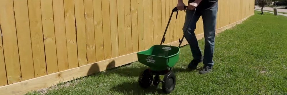 Spreading Balan granules on lawn