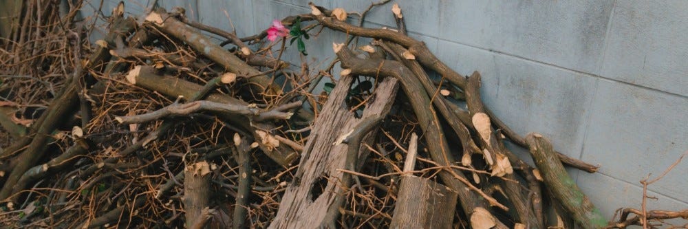 Wood Pile
