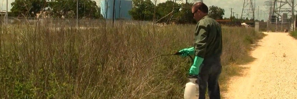 Spraying Herbicide