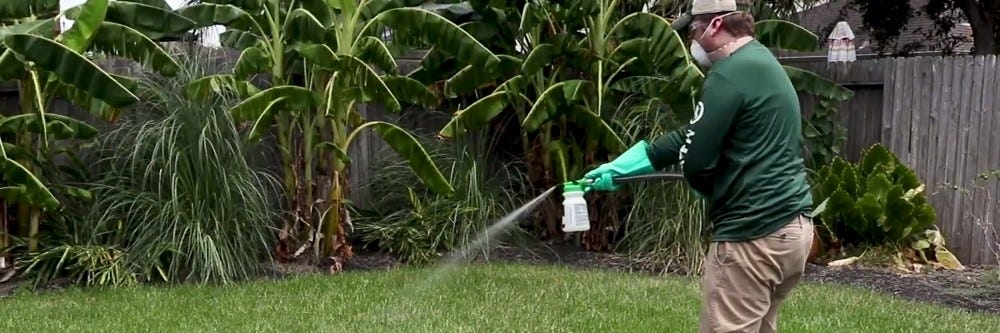 Applying Insecticide