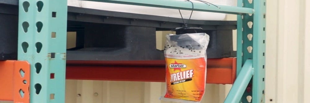 How to hang Fly Relief Fly Trap