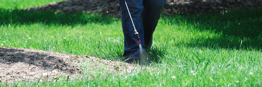 Spraying Turf with Fungicides