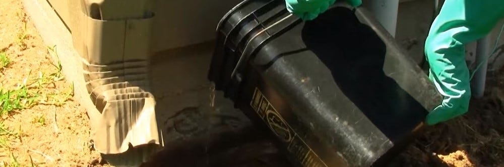 Pouring Termiticide Pouring Termiticide