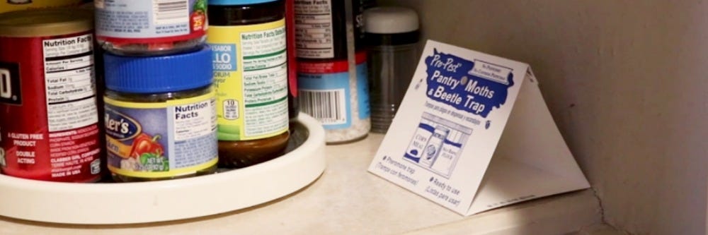 Pro Pest Trap placement