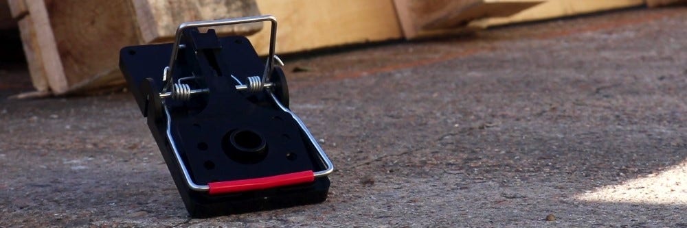 Rat trap