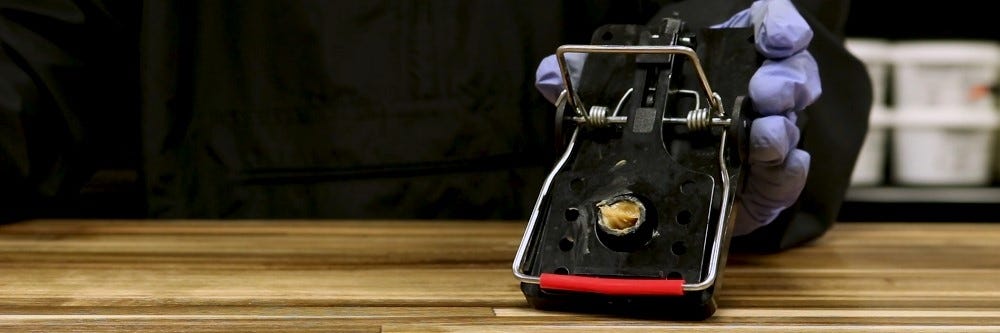 Rat trap