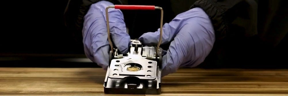 Setting Solutions Rat Trap