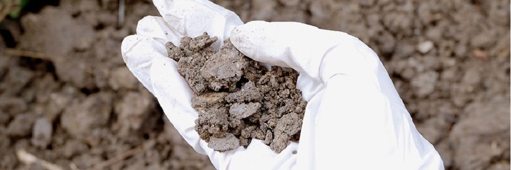Soil in hand