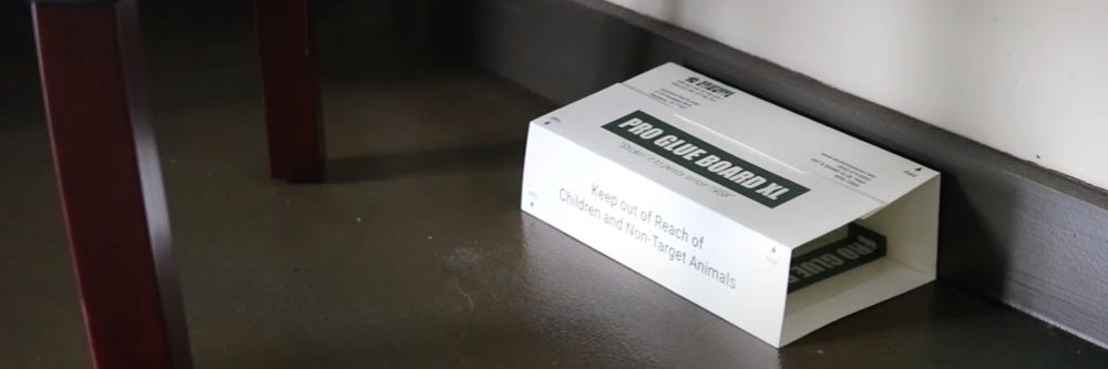 Solutions Pro Rat Glueboard XL  Solutions Pro Rat Glueboard XL