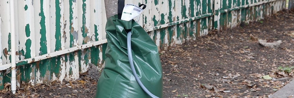 Solutions Tree Watering Bags Around Tree