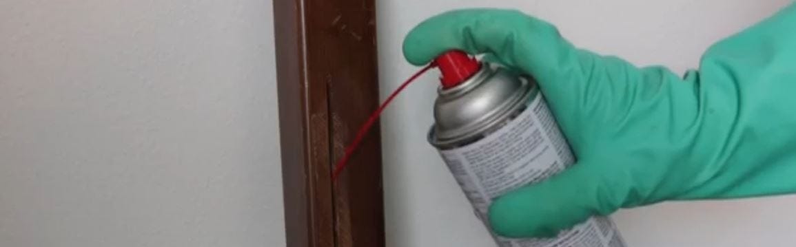 bedlam spraying bed fram