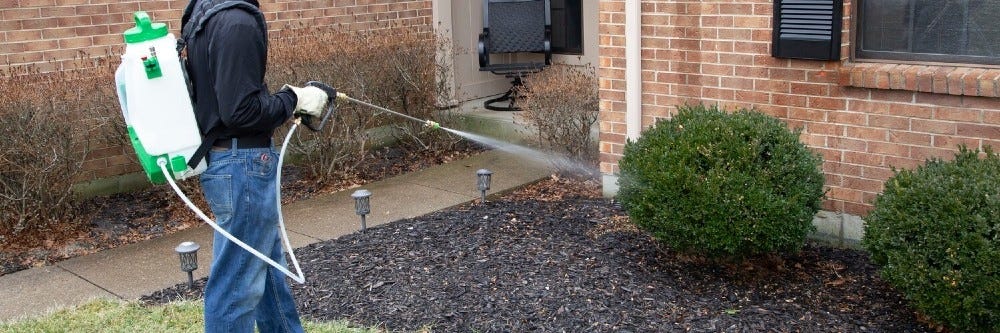 Cyclone Backpack Sprayer in action