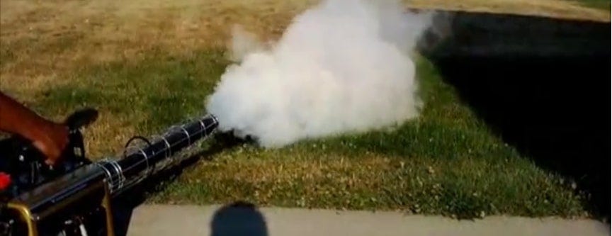 Golden Eagle in action