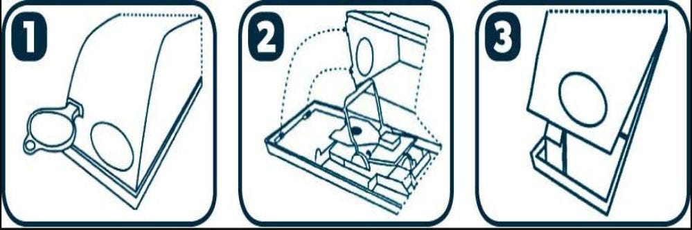 mouse trap cover steps