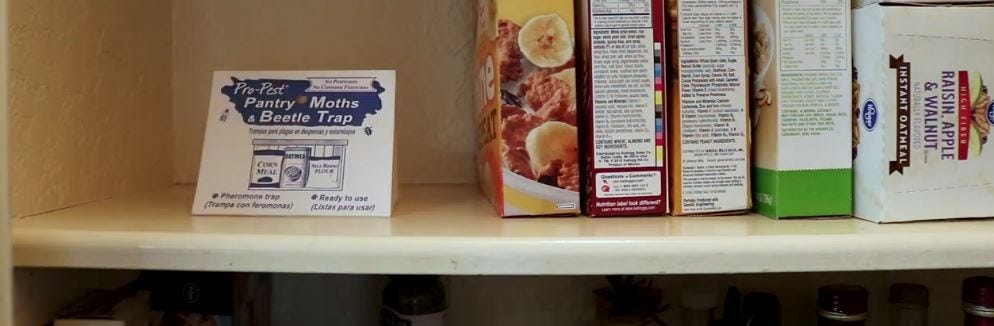 Pro-Pest trap placement on pantry shelf