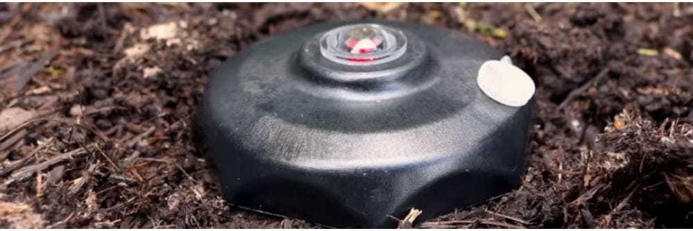 Continue to monitor with Red Eye Stations to prevent termites