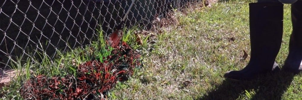 Red Spray Pattern