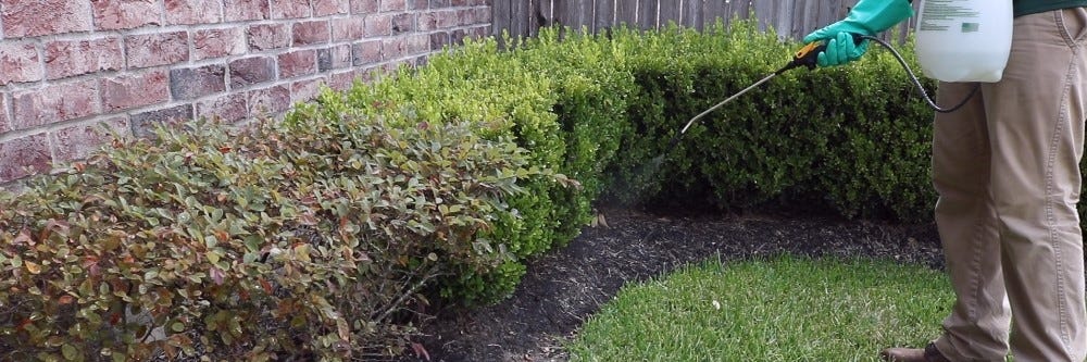 Treating Shrub with Bio Advanced 12 Mo. Tree & Shrub Treating Shrub with Bio Advanced 12 Mo. Tree & Shrub